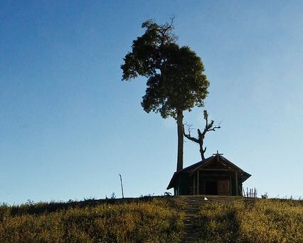 নিশি রাতে বৃদ্ধের কুটিরে